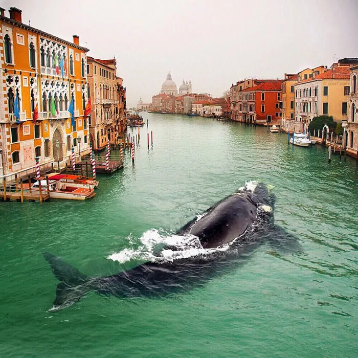 This Award-Winning Photographer Is Taking The Internet By Storm With His Surreal Photo Manipulations