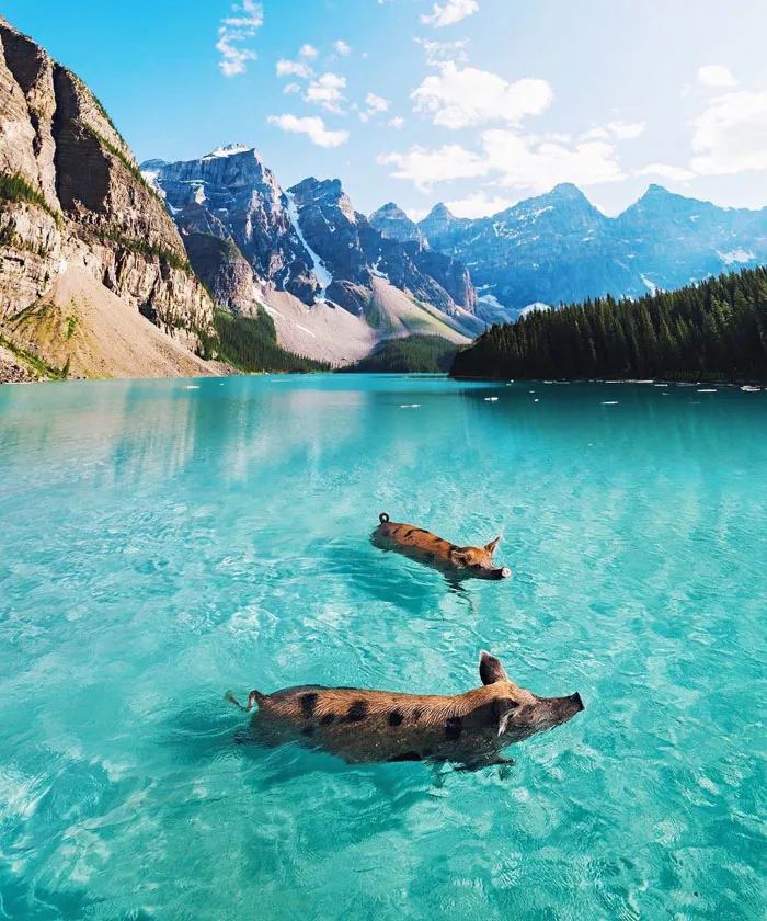 This Award-Winning Photographer Is Taking The Internet By Storm With His Surreal Photo Manipulations