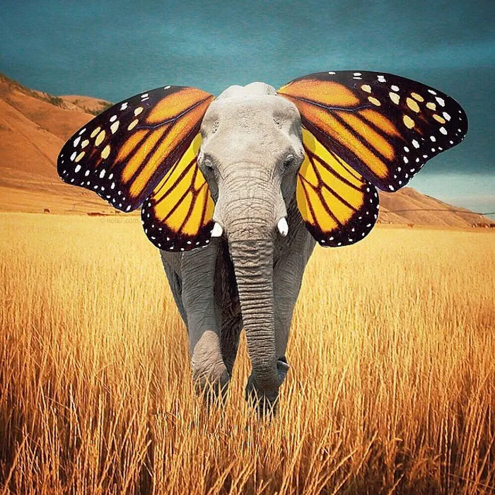 This Award-Winning Photographer Is Taking The Internet By Storm With His Surreal Photo Manipulations
