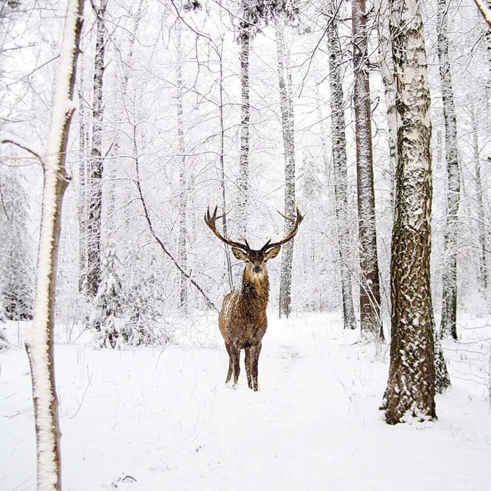 This Award-Winning Photographer Is Taking The Internet By Storm With His Surreal Photo Manipulations