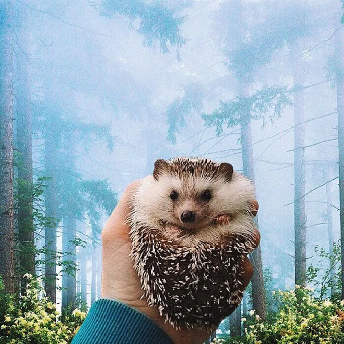 This Award-Winning Photographer Is Taking The Internet By Storm With His Surreal Photo Manipulations