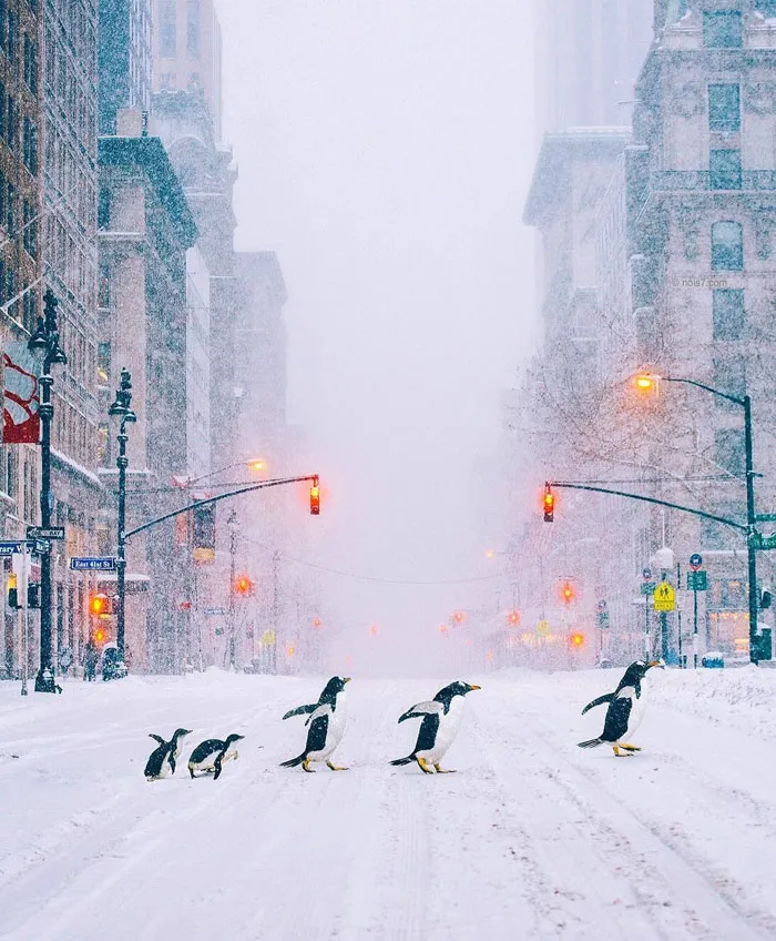 This Award-Winning Photographer Is Taking The Internet By Storm With His Surreal Photo Manipulations