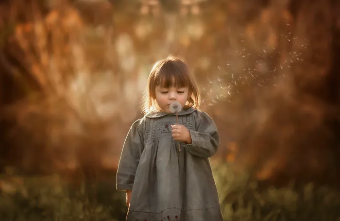 I Became A Storyteller Without Writing
