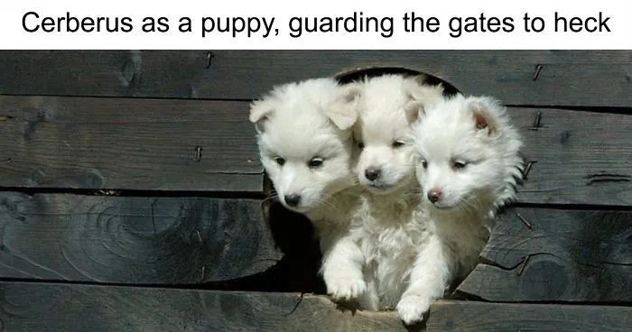 21 Clever Jokes That Only People Who Know Greek Mythology Will Laugh At
