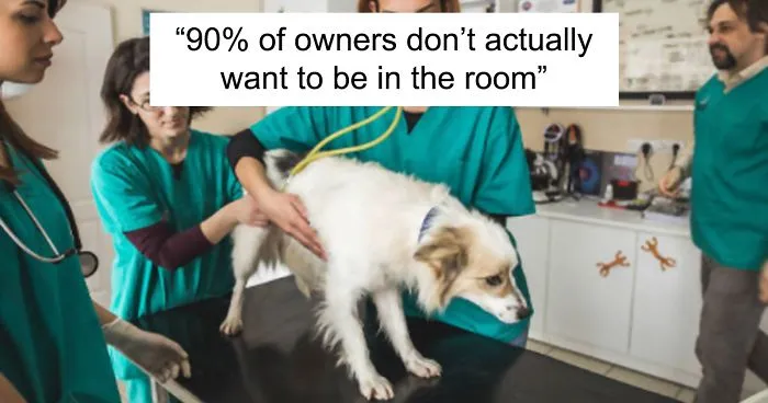 Vets Reveal What Pets Do Right Before Death, And It's A Must-Read For Every Pet Owner