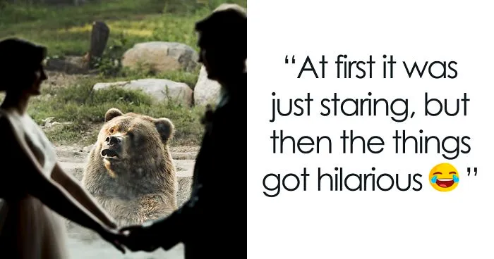 The Internet Is Cracking Up Over This Bear’s Reaction To This Couple Getting Married At The Zoo (3 Pics)