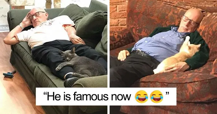 The Internet Can’t Get Enough Of This Man Who Volunteers And Naps With Cats At A Shelter Every Day