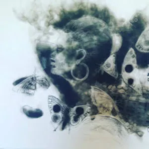 tadooba gallery
