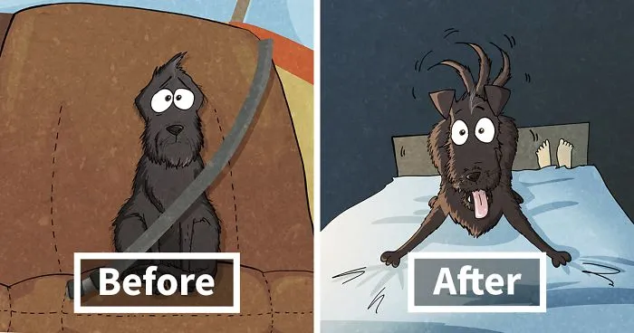 10+ Things That We Realized After Spontaneously Adopting A Dog From A Shelter