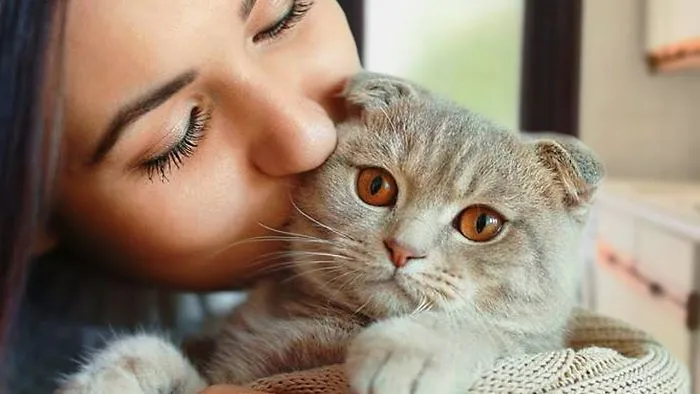 Cat And Owners Are Best Friends Compilation