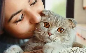 Cat And Owners Are Best Friends Compilation