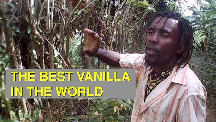 We Came To The Comoros Islands On Our Sailing Catamaran. Film 1: Cloves, Vanilla And The Fragrant Smell Of Ylang Ylang.