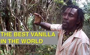We Came To The Comoros Islands On Our Sailing Catamaran. Film 1: Cloves, Vanilla And The Fragrant Smell Of Ylang Ylang.