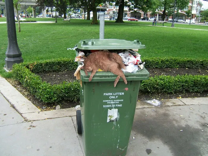 When You Wake Up In An Unknown Place After The Night Out