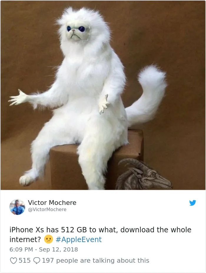Apple Reveals Its Newest iPhone, The Internet Reacts With 62 Hilarious Memes