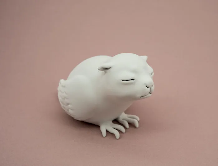 Little Bird