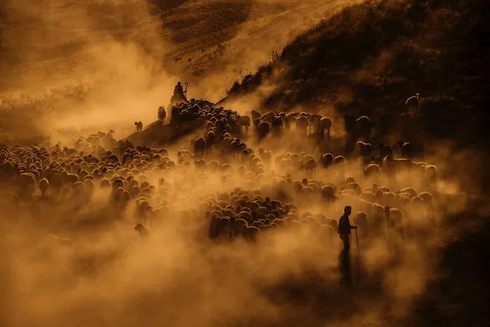 18 Finalists From The World's Largest Photo Competition