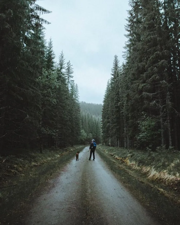 This Human And Dog Love Hiking Together In The Norwegian Wilderness, And Their Pics Are Absolutely Epic
