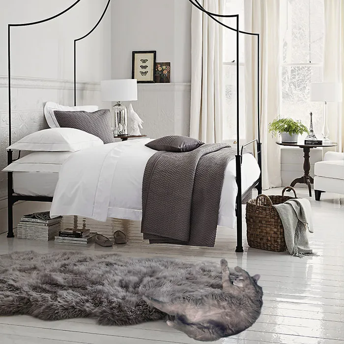 What A Nice Rug