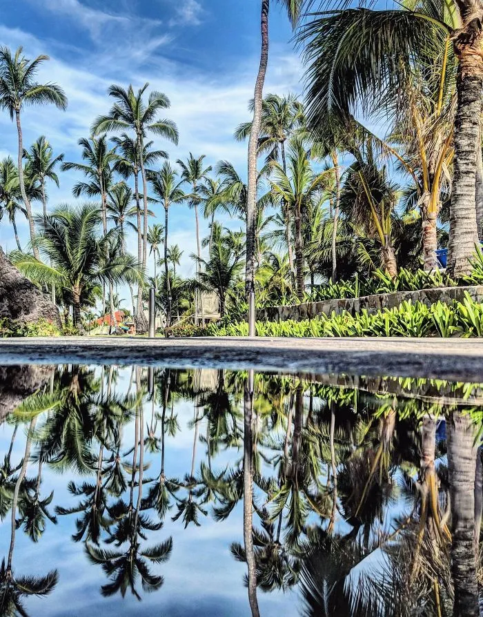 I Travel To Parallel Worlds Of Puddles With My Smartphone