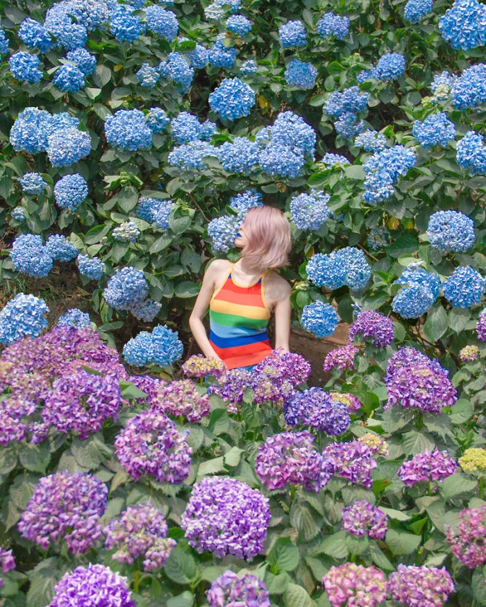 She Tries To Be A Rainbow In Someone’s Sky
