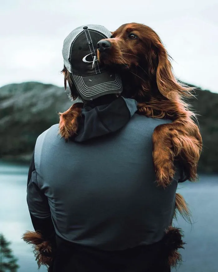 This Human And Dog Love Hiking Together In The Norwegian Wilderness, And Their Pics Are Absolutely Epic