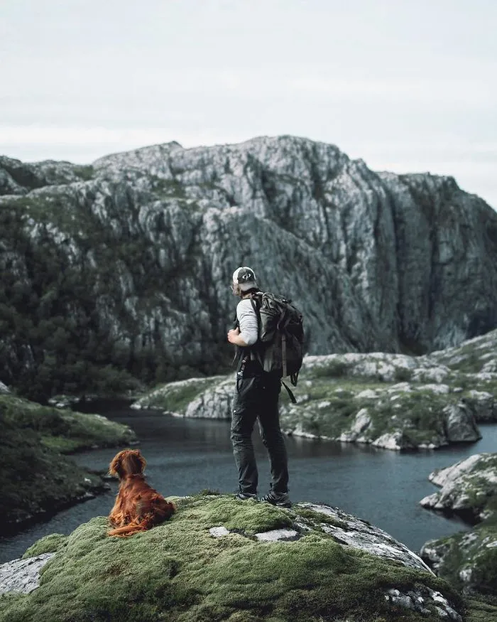 This Human And Dog Love Hiking Together In The Norwegian Wilderness, And Their Pics Are Absolutely Epic