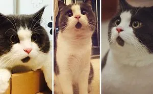 23 Strange Signs That Indicate Your Friend Can’t Smell That You Were Totally Unaware Of Until Now.