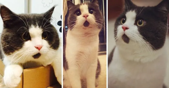 23 Strange Signs That Indicate Your Friend Can’t Smell That You Were Totally Unaware Of Until Now.