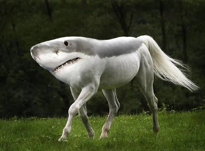 39 Unexpected Animal Hybrids That Would Be Hilarious In Real Life