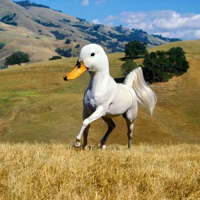 39 Unexpected Animal Hybrids That Would Be Hilarious In Real Life