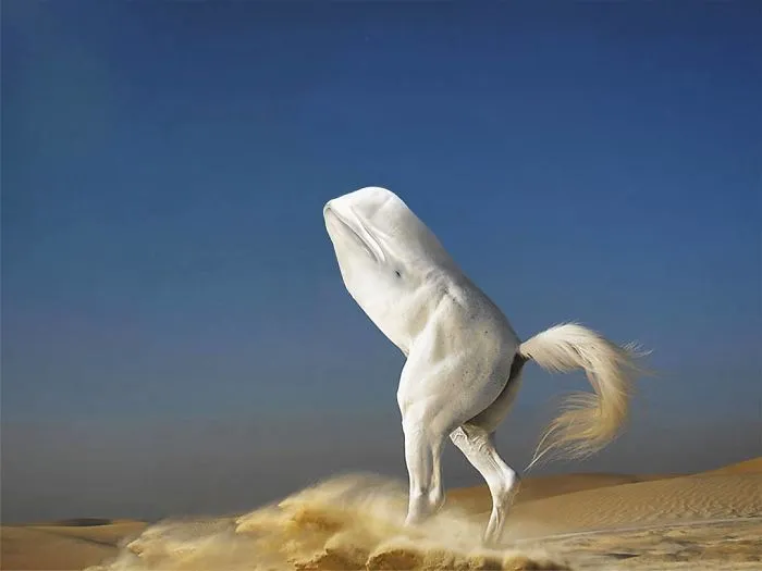 39 Unexpected Animal Hybrids That Would Be Hilarious In Real Life