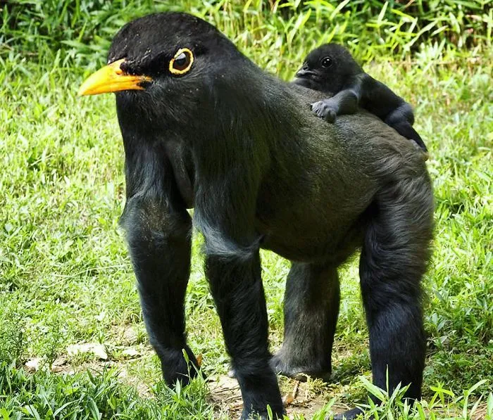 39 Unexpected Animal Hybrids That Would Be Hilarious In Real Life