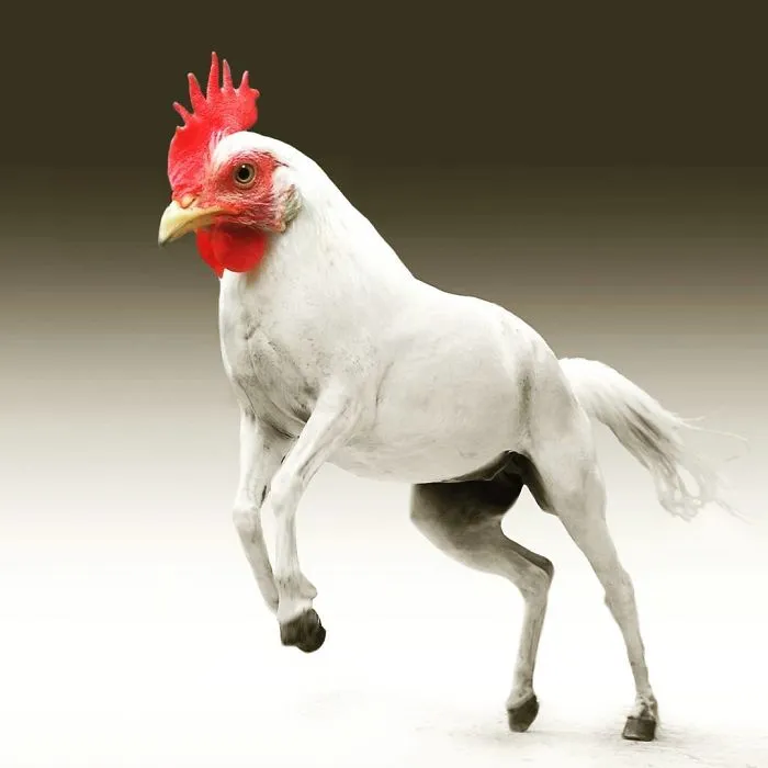39 Unexpected Animal Hybrids That Would Be Hilarious In Real Life
