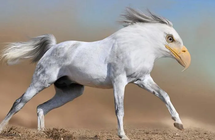 39 Unexpected Animal Hybrids That Would Be Hilarious In Real Life