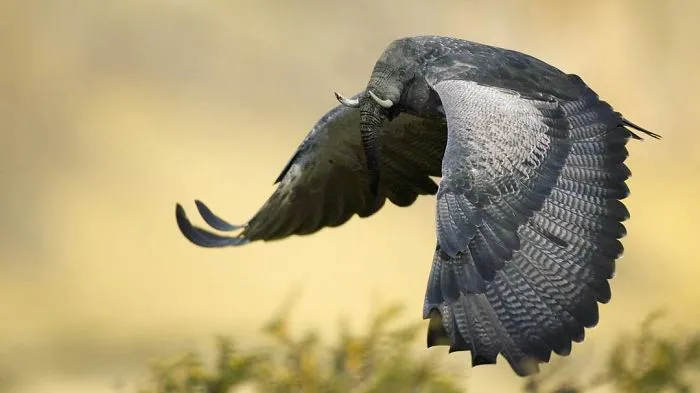 39 Unexpected Animal Hybrids That Would Be Hilarious In Real Life