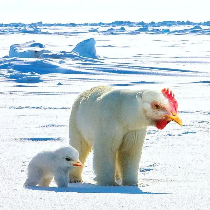 39 Unexpected Animal Hybrids That Would Be Hilarious In Real Life