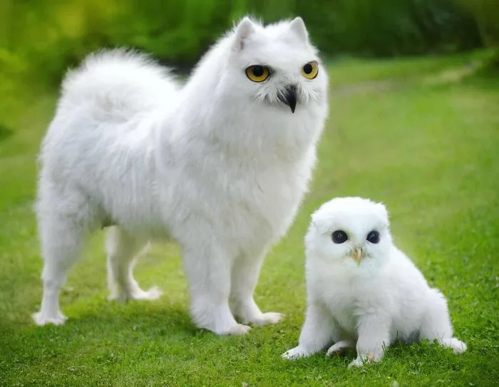 39 Unexpected Animal Hybrids That Would Be Hilarious In Real Life