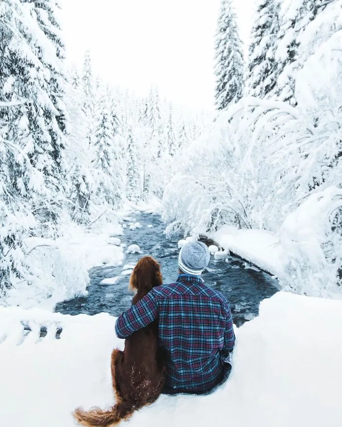 This Human And Dog Love Hiking Together In The Norwegian Wilderness, And Their Pics Are Absolutely Epic