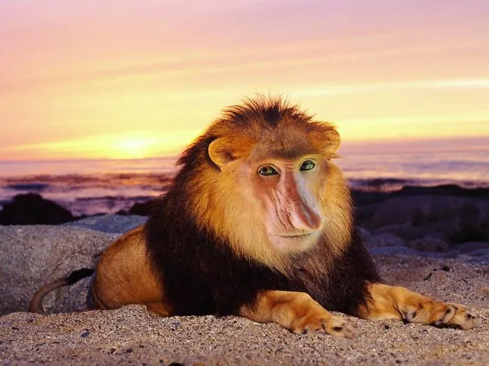 39 Unexpected Animal Hybrids That Would Be Hilarious In Real Life