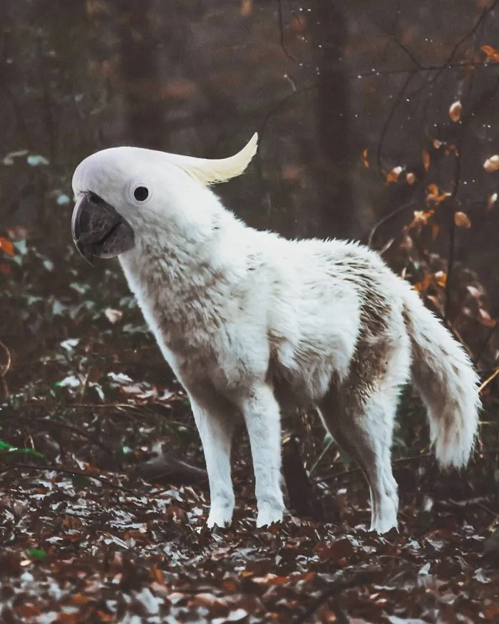 39 Unexpected Animal Hybrids That Would Be Hilarious In Real Life