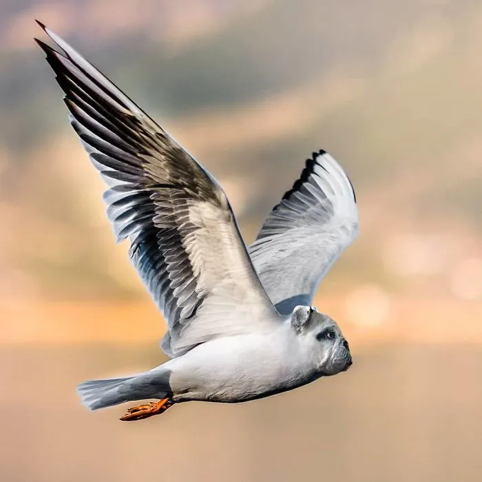 39 Unexpected Animal Hybrids That Would Be Hilarious In Real Life