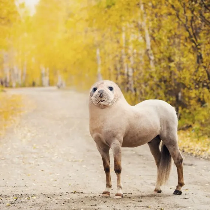 39 Unexpected Animal Hybrids That Would Be Hilarious In Real Life