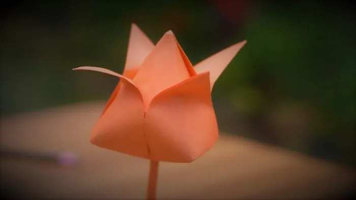How To Make Paper Lotus Flowers  || Paper Lotus Flowers || Lotus Made By Paper