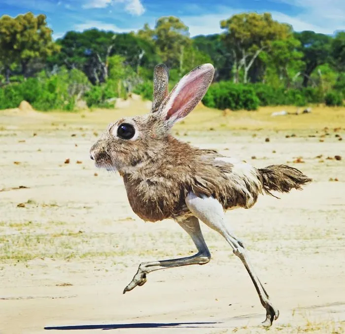 39 Unexpected Animal Hybrids That Would Be Hilarious In Real Life
