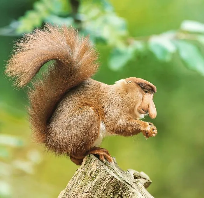 39 Unexpected Animal Hybrids That Would Be Hilarious In Real Life