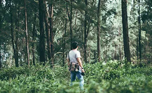 Discovering My Lost Love Of Photography