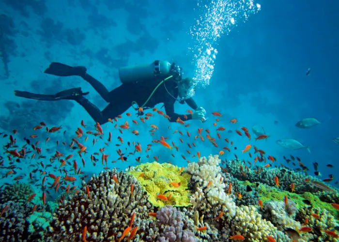 Visiting Andaman? Just Know This Before Planning