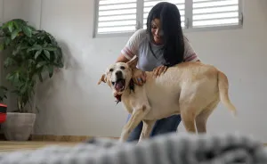 #WhatTheFluff For Abandoned Dogs