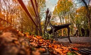 "Fall"Ing In Love With New York City